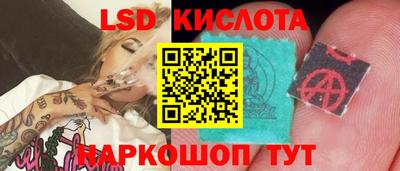 прущие грибы Малоярославец