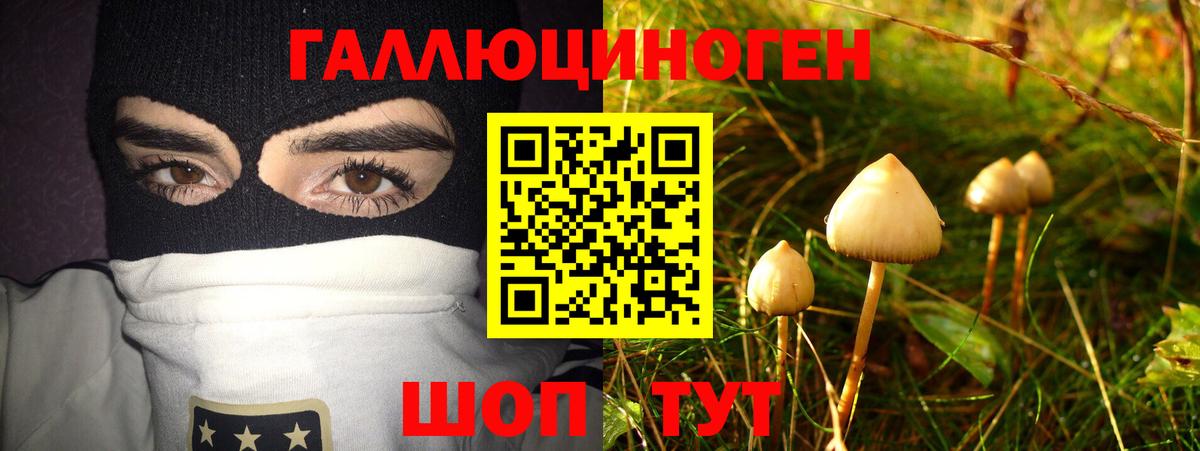 Туапсе  как найти закладки  Галлюциногенные грибы ЛСД  Вход с VPN  Галлюциногенные грибы мухоморы 